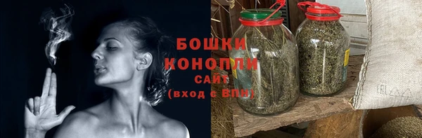 спайс Покачи
