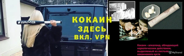 спайс Покачи