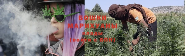 спайс Покачи