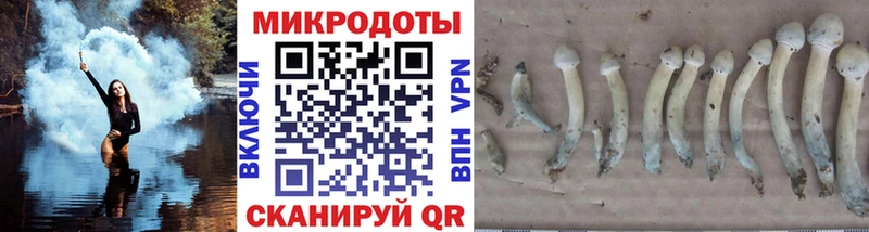 Псилоцибиновые грибы GOLDEN TEACHER Великий Устюг