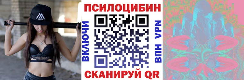 даркнет сайт  Великий Устюг  darknet клад  Галлюциногенные грибы Magic Shrooms 