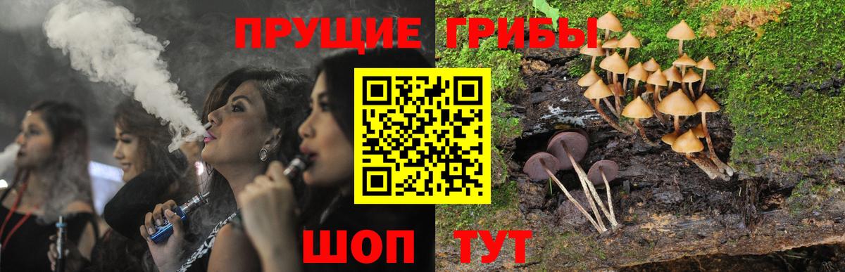 Великий Устюг  Галлюциногенные грибы Psilocybine cubensis  Вход с VPN 