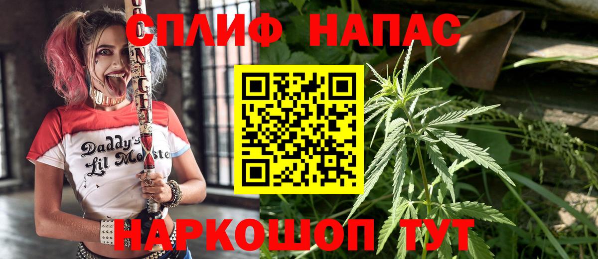 Конопля семена  Марихуана THC 21%  Великий Устюг  Каннабис Bruce Banner 